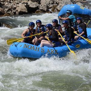 Meet your Posher, Jocie